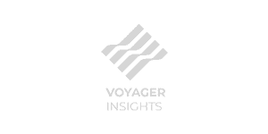 Voyager Insights